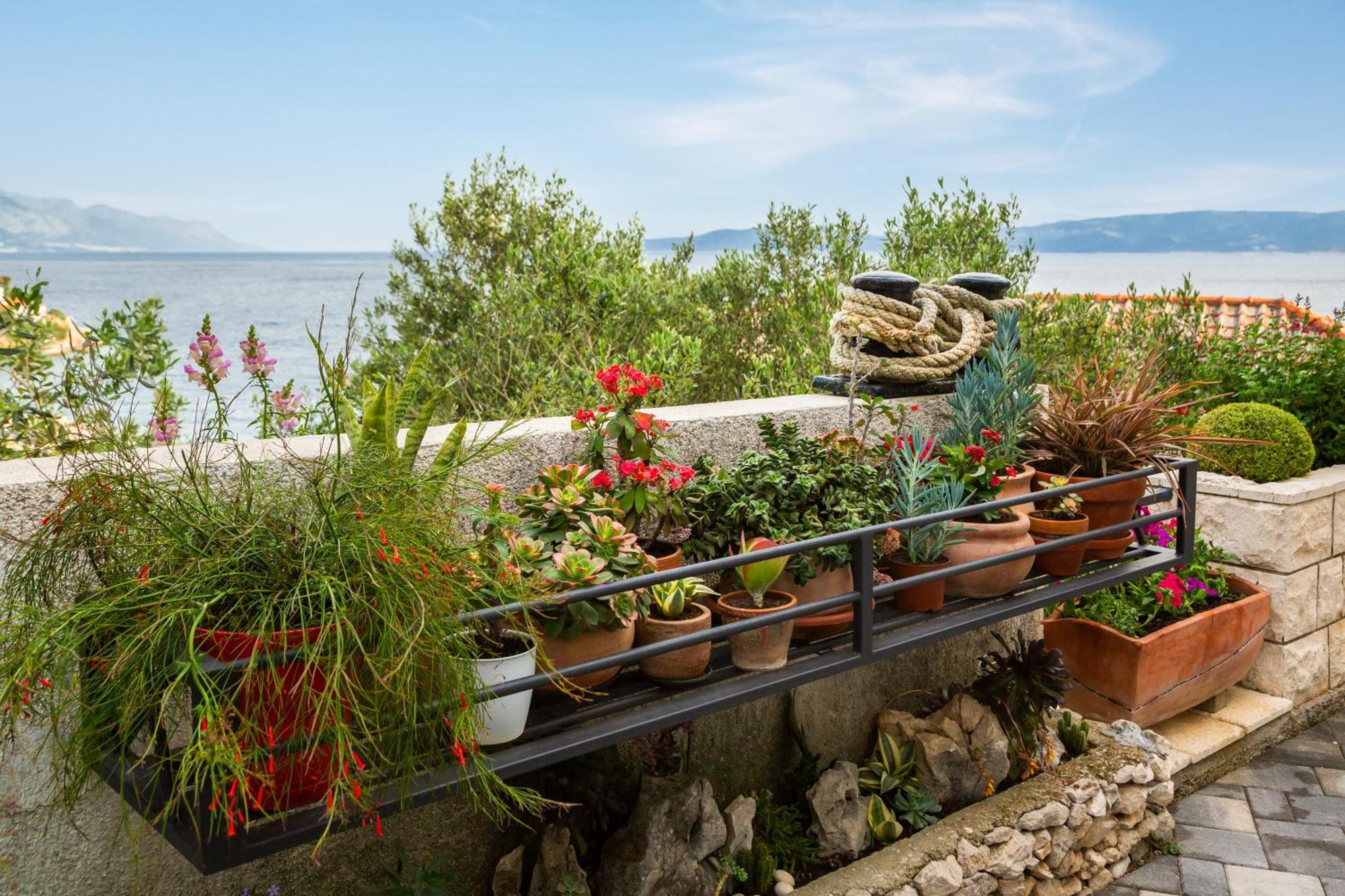Seaside Apartment Kamelia Mimice Exterior foto